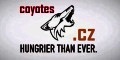 Coyotes.cz